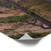 ロアーイエローストーン秋グランドキャニオン ポスター (角)