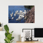 ロアースパークレイクカーディフで白鳥と他の鳥 ポスター (ホームオフィス)