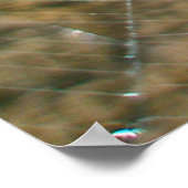 ロイカージュOrb Weaverハロウィンポスター ポスター (角)