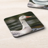 ロイシズムのカナダガチョウ コースター (左側)