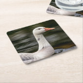 ロイシズムのカナダガチョウ スクエアペーパーコースター (アングル)