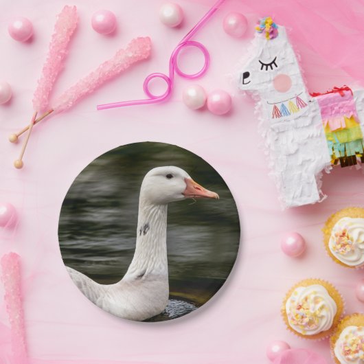 ロイシズムのカナダガチョウ ペーパープレート (パーティー)