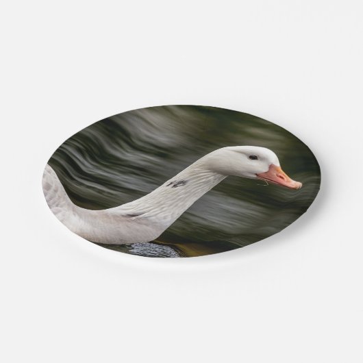 ロイシズムのカナダガチョウ ペーパープレート (アングル)