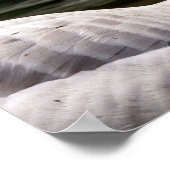 ロイシズムのカナダガチョウ ポスター (角)