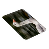 ロイシズムのカナダガチョウ マグネット (右側)