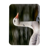 ロイシズムのカナダガチョウ マグネット (縦)