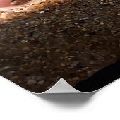 ロイシズム軸索 ポスター (角)