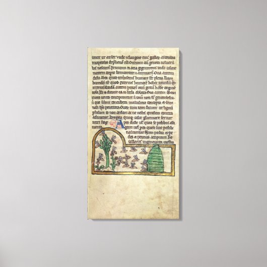 ロイページの文字とイラストレーション キャンバスプリント (正面)