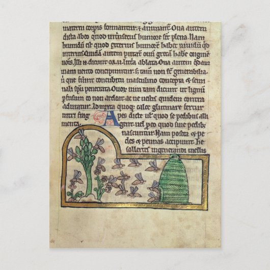 ロイページの文字とイラストレーション ポストカード (正面)