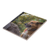 ロイヤリティの一見 タイル (側面)