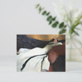 ロイヤリティは非常に高い ポストカード (スタンド正面)