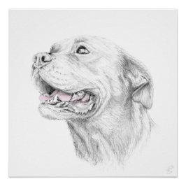 ロイヤリティ、アンアメリカン（犬）スタッフォードテリア ポスター