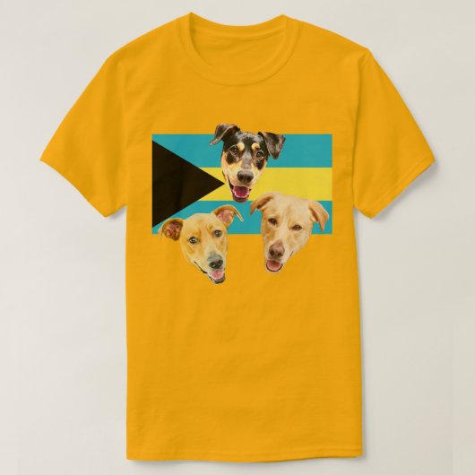 ロイヤルバハマンポットケーキTシャツ 2 Tシャツ (デザイン正面)