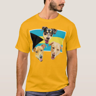 ロイヤルバハマンポットケーキTシャツ 2 Tシャツ