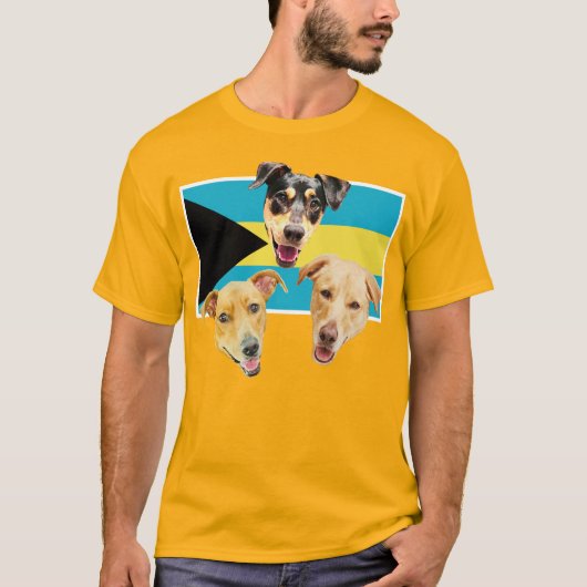 ロイヤルバハマンポットケーキTシャツ 2 Tシャツ (正面)