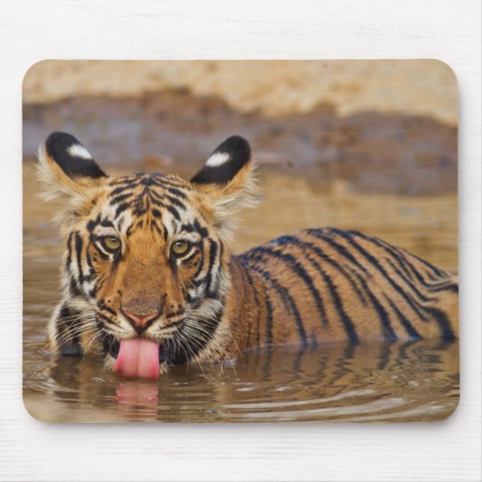 ロイヤルベンガルタイガーの子、飲水 マウスパッド (正面)