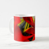 ロイヤルポワンシアナの花のマグ コーヒーマグカップ (正面左)