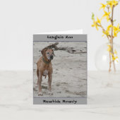 ロウディ、ラウヒド・ロウディ、ラングレイズ動物園 カード (黄色い花)