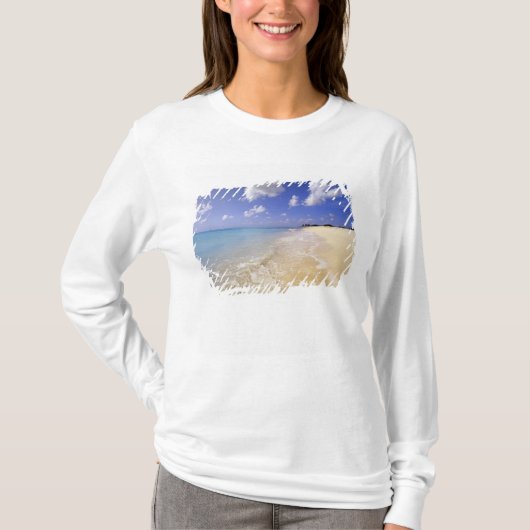 ロウベイ ビーチ バルブーダ アンティグア Tシャツ (正面)