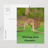 ロオ ポストカード (正面/裏面)