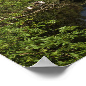 ロカイキリンスコットランド川 ポスター (角)