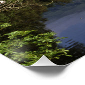 ロカイキリンスコットランド川 ポスター (コーナー)