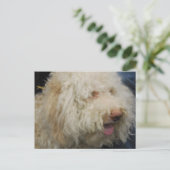 ロガートロマグノロ葉書 ポストカード (スタンド正面)