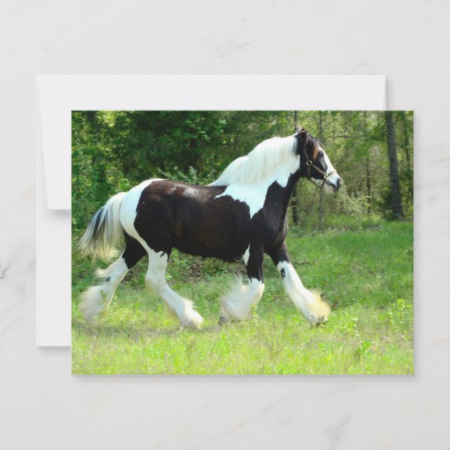 ロキシー (正面)