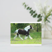 ロキシー ポストカード (スタンド正面)