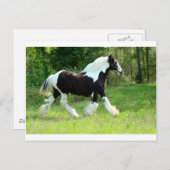 ロキシー ポストカード (正面/裏面)