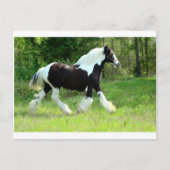 ロキシー ポストカード (正面)