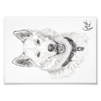 ロキポートレート フォトプリント           