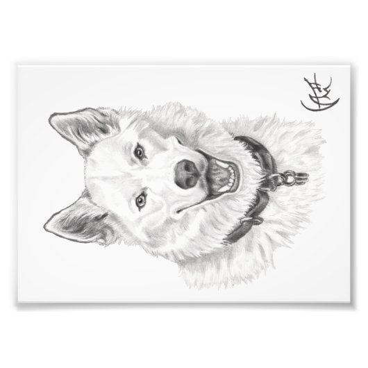 ロキポートレート フォトプリント            (正面)