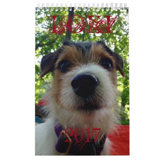 ロキ2017のカレンダー カレンダー (カバー)