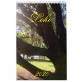 ロキ2020カレンダー カレンダー (カバー)
