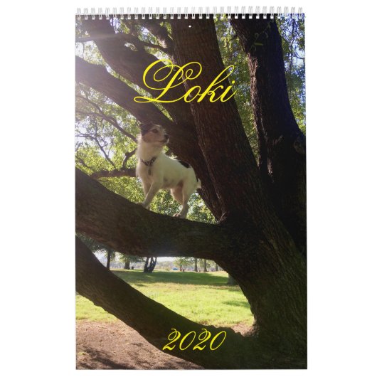 ロキ2020カレンダー カレンダー (カバー)