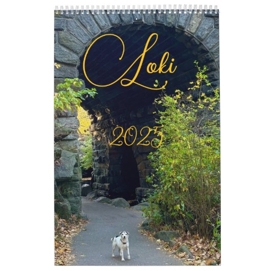ロキ2025 カレンダー (カバー)