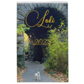 ロキ2025 カレンダー (カバー)