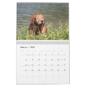 ロキ カレンダー (2月 2026)