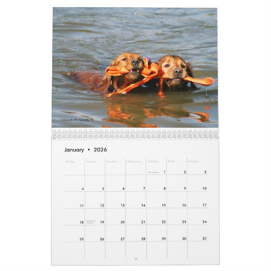 ロキ カレンダー (1月 2026)