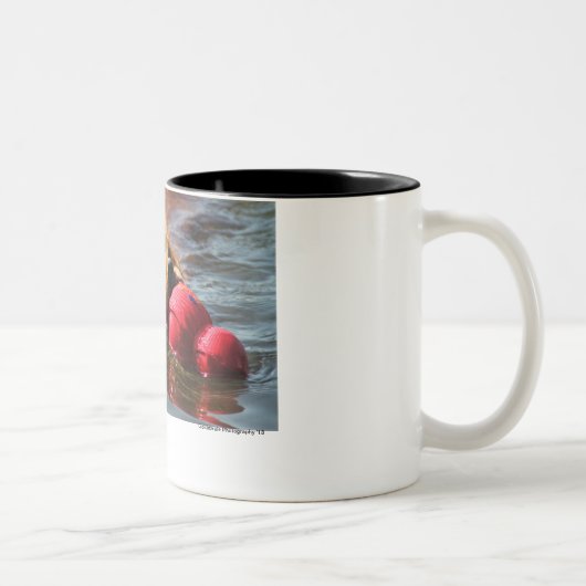 ロキ"私は得ましたこれを" ツートーンマグカップ (右)