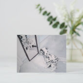 ロクシー・ザ・ダルマティアン ポストカード (スタンド正面)