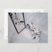 ロクシー・ザ・ダルマティアン ポストカード (正面/裏面)