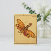 ロクスタ ポストカード (スタンド正面)