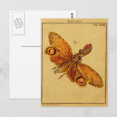 ロクスタ ポストカード (正面/裏面)