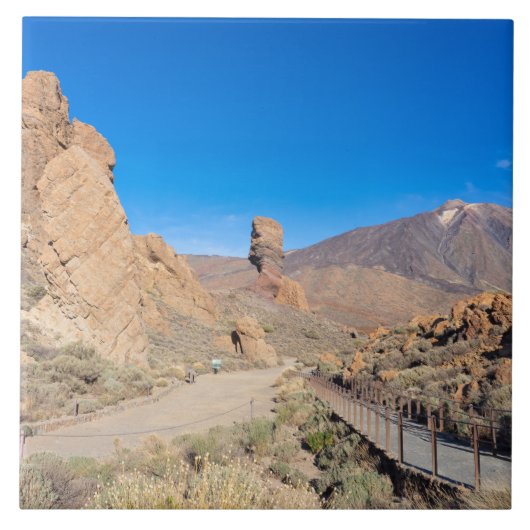 ロクスデガルシア タイル (正面)