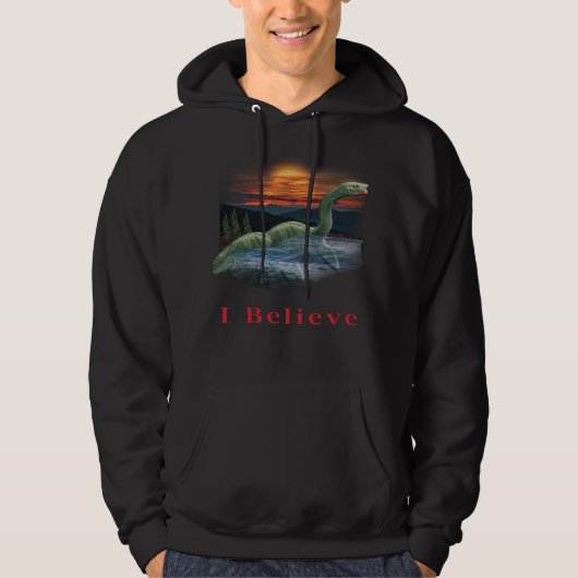 ロクネスTシャツ パーカ (正面)