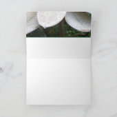 ロクマラ・ブッシュのグリーティング・カードに咲く カード (内部)