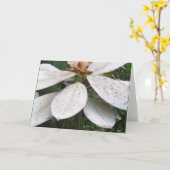 ロクマラ・ブッシュのグリーティング・カードに咲く カード (黄色い花)