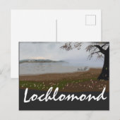 ロクロモンドハガキ ポストカード (正面/裏面)